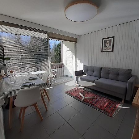 studio quartier calme centre ville vue mont Blanc Chamonix Esterno foto