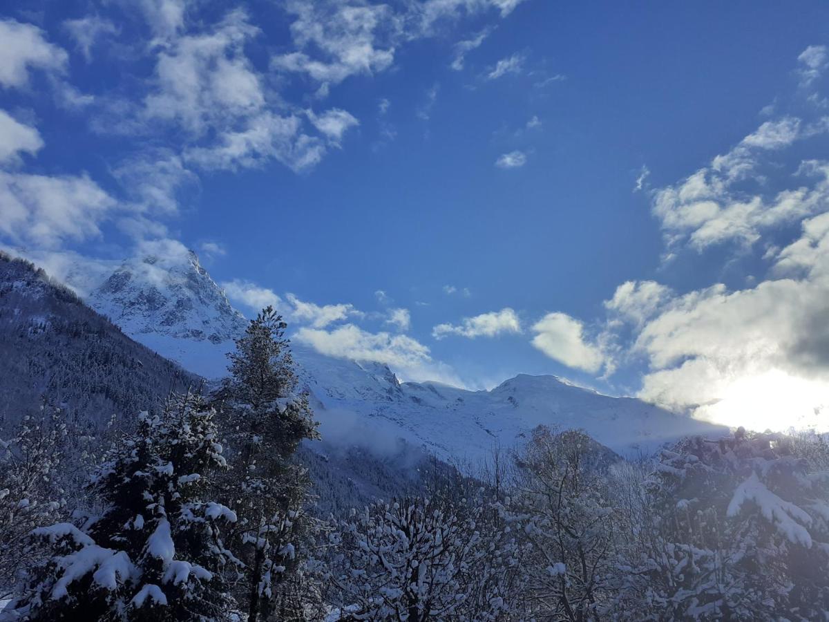 studio quartier calme centre ville vue mont Blanc Chamonix Esterno foto